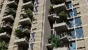 tower.webp