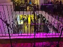 4c7ebaa5-58ac-46ee-9c4c-6567284baeea-Salones-de-Eventos-Venta-Barrio-Santa-Teresita-Guadalajara-Jalisco-3708706.webp