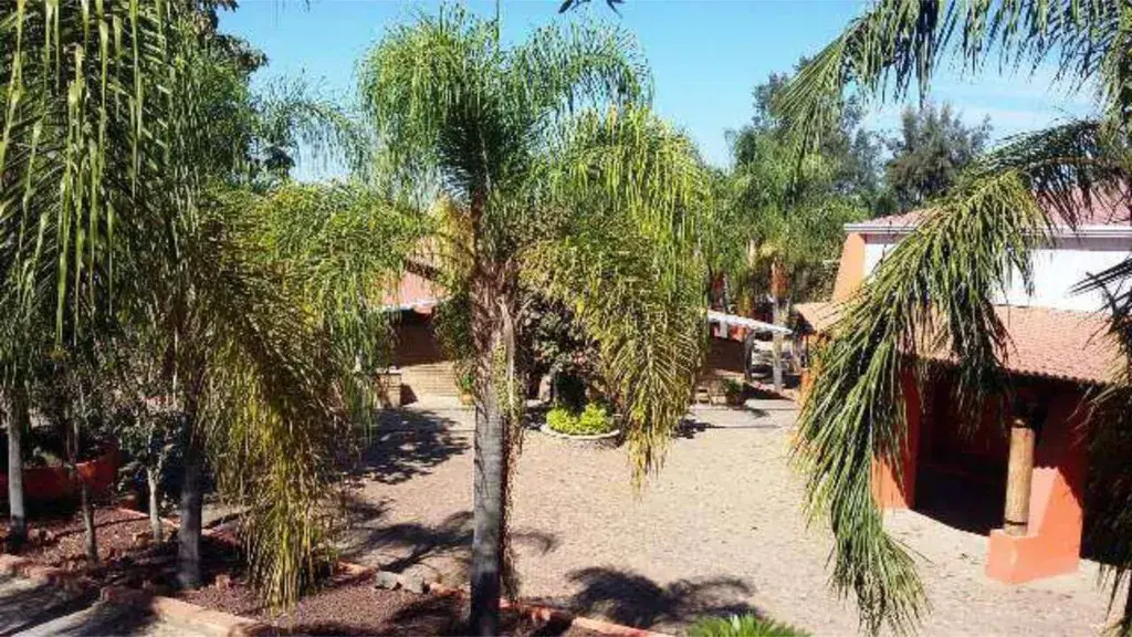 3c778cdc-a78e-4534-8305-a74ef0aa40c4-Ranchos-Venta-ARENALES-TAPATIOS-Zapopan-Jalisco-3709284.webp