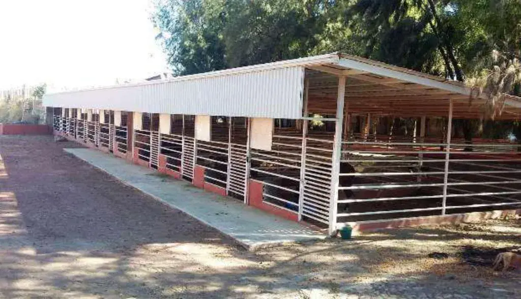 0e279ce0-35e6-4897-be8e-9d714179b09c-Ranchos-Venta-ARENALES-TAPATIOS-Zapopan-Jalisco-3709284.webp